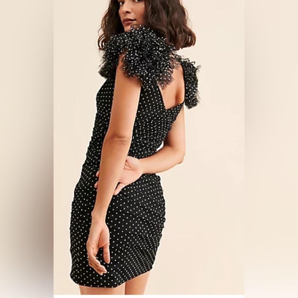 ML Monique Lhuillier Peyton Polka Dot tulle dressNWT - Picture 2 of 13